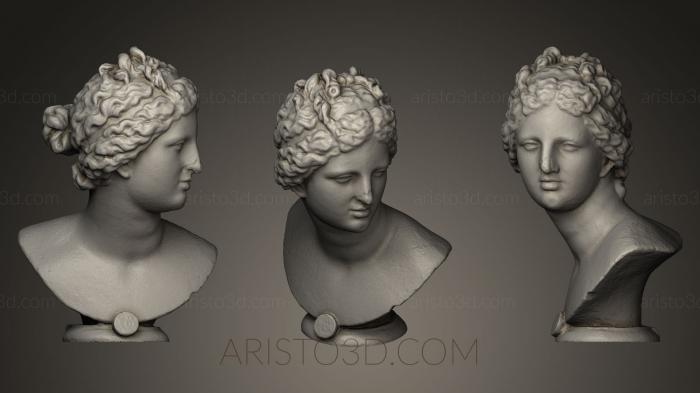 Busts and heads antique and historical (BUSTA_0314) 3D model for CNC machine